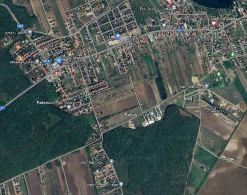 Corbeanca teren intravilan 5000 mp compact deschidere 22 ml, utilitati in zona